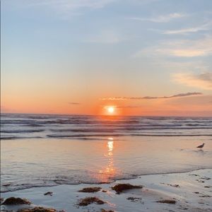 Meet your Posher, Jillian